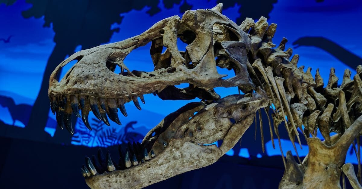 Unveiling the Titanic Pliosaur Skull: A Colossal Discovery on UK’s Jurassic Coast